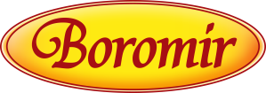 Boromir Logo